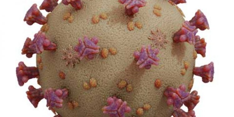 Ministério da Saúde confirma primeiro caso de coronavírus no Brasil