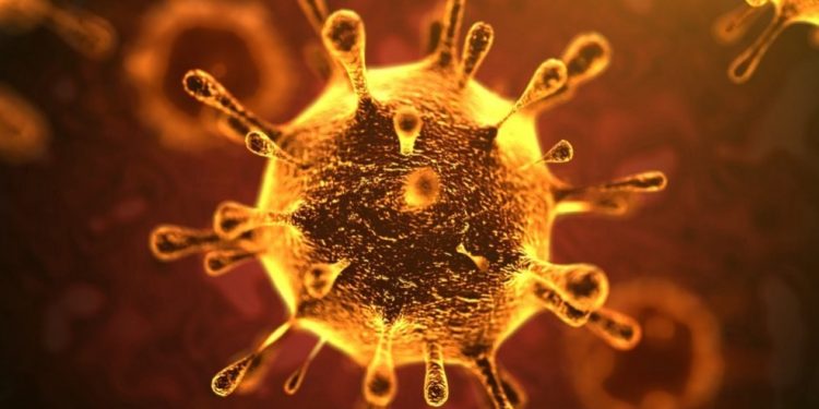 Brasil registra primeiro caso do novo coronavírus