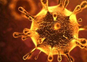 Ministério da Saúde descarta caso suspeito de coronavírus no Ceará