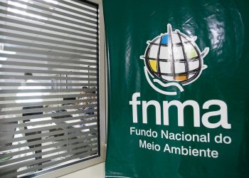 Fundo Nacional do Meio Ambiente (Foto: Gilberto Soares/MMA/Divulgação)