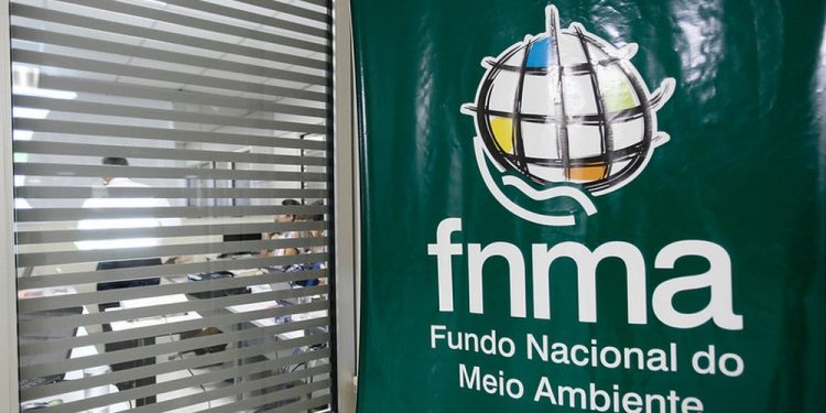 Bolsonaro exclui participação da sociedade civil de conselho do Fundo Nacional do Meio Ambiente
