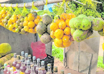 (Foto: Antonio Rodrigues)