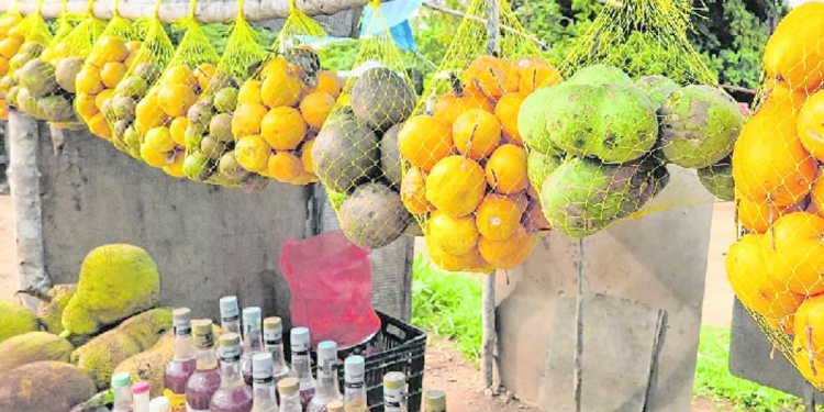 Araticum ou cambuí? Frutos nativos do Cariri ainda são pouco explorados; conheça