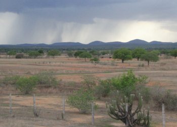 (Foto: Honório Barbosa)