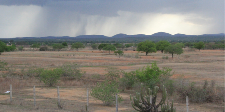 Número de municípios com registros de chuvas diminui, mas Cariri concentra maiores precipitações