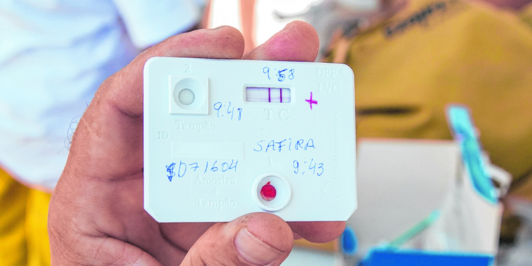 Ceará tem avanço geográfico de Leishmaniose Visceral em humanos