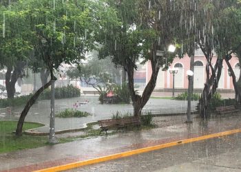 (Foto: Mateus Ferreira)