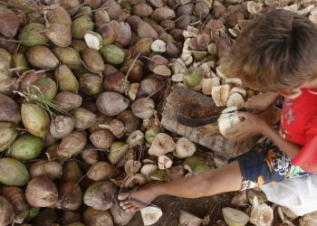 Em 70 cidades cearenses, quase 9 mil crianças e adolescentes trabalhavam no contraturno escolar. A maioria trabalha na agricultura (Foto: Cid Barbosa/SVM)