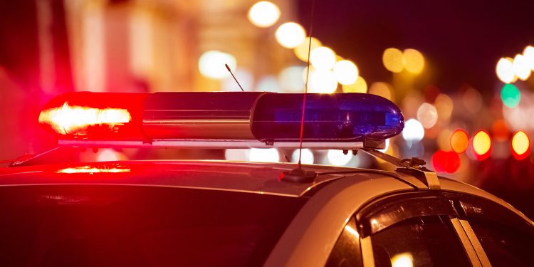 Advogado é preso após dirigir bêbado, tentar fugir só de cueca e morder policial