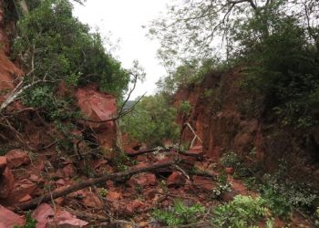 (Foto: Antonio Rodrigues)