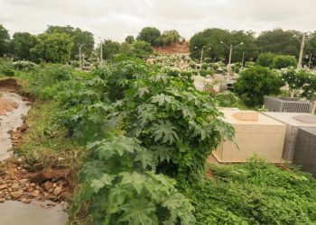 Construído há 166 anos, o Cemitério Nossa Senhora da Piedade, em Crato, é um dos dois cemitérios públicos do Município (Foto: Antonio Rodrigues)