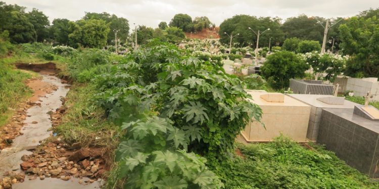 Ministério Público avalia irregularidades em cemitérios de pelo menos 8 cidades