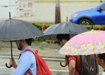 (Foto: Sandro Valentim)