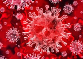 Casos suspeitos no Ceará salta para 87; Crato e Juazeiro do Norte na lista