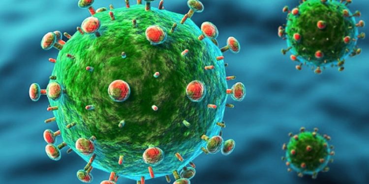 Brasil registra 488 casos suspeitos de coronavírus