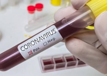 Vacina contra Covid-19 deve demorar pelo menos um ano