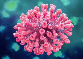 Ceará confirma 20 casos de coronavírus; 259 estão sob investigação