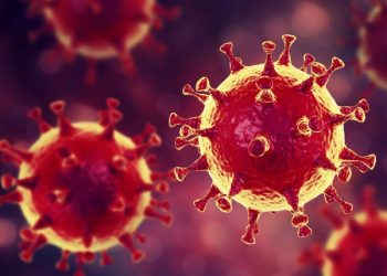 Coronavírus se alastra pelo país: Brasil tem 621 casos confirmados e seis mortes