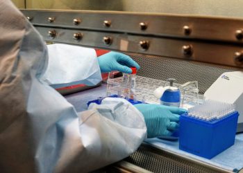 Ceará registra 7 óbitos por coronavírus; casos vão para 390, segundo Ministério da Saúde