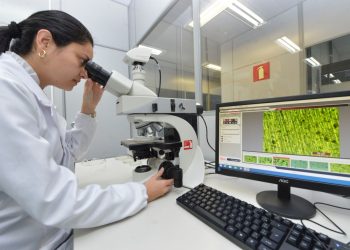 Governo do Ceará lança hotsite com informações sobre o novo coronavírus