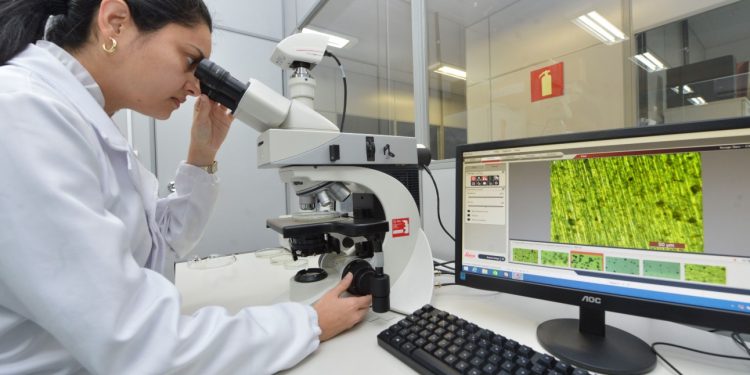 Governo do Ceará lança hotsite com informações sobre o novo coronavírus