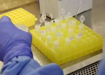 Casos do novo coronavírus sobem para 18 no Brasil, confirma Ministério da Saúde