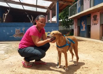 O cachorro foi localizado e levado para ONG Vira Lata de Raça (Foto: Divulgação)