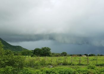 (Foto: Ivan Brasilino Jr.)