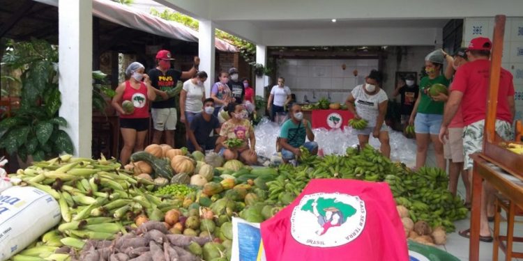 MST realiza doação de 15 toneladas de alimentos produzidos no campo a famílias vulneráveis