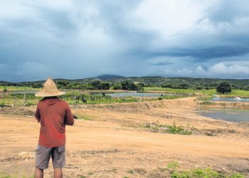 (Foto: Honório Barbosa)