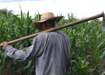 (Foto: Honório Barbosa)