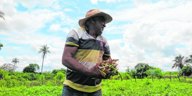 Agricultores enfrentam dificuldades para vender a produção