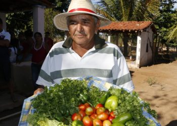 A plataforma do governo do Estado pode ser acessada de forma gratuita. Para facilitar a busca, o interessado pode pesquisar pelo nome da cooperativa e gênero alimentício (Foto: Divulgação)