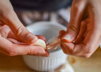 (Foto: Sebastiano Secondi/iStock)