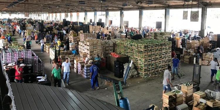 Ceasa de BH não tem desabastecimento ao contrário do que Bolsonaro postou