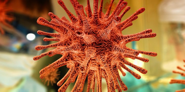 Brasil tem 486 mortes e 11.130 casos oficiais de coronavírus, segundo MS