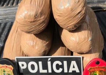 Drogas que estavam em poder dos dois pernambucanos detidos (Foto: SSPDS/DIvulgação)