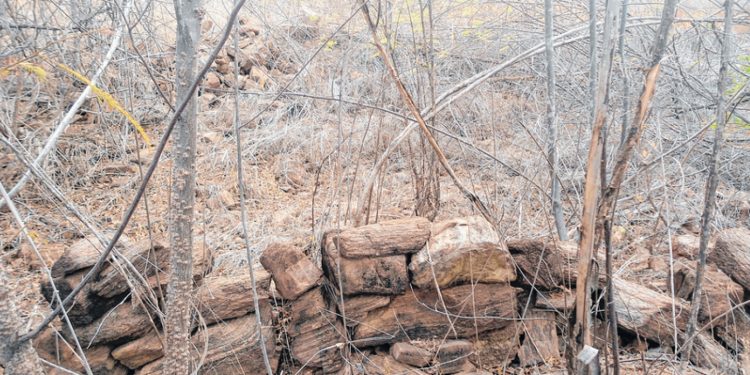 Iphan reconhece primeiro sítio arqueológico histórico no Cariri