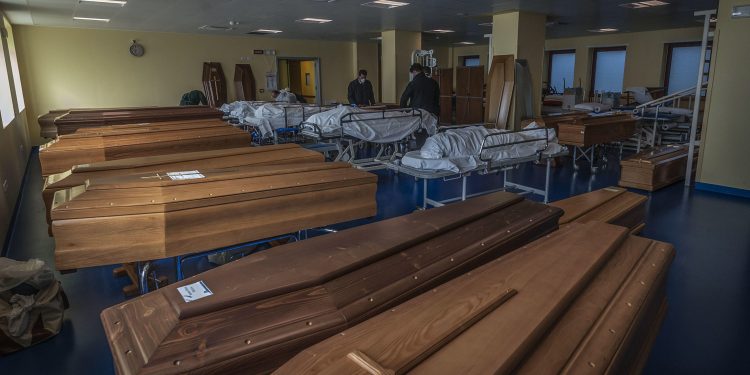 A insensatez dos idiotas – Por Sandro Leonel