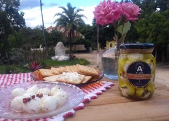 (Foto: Divulgação)