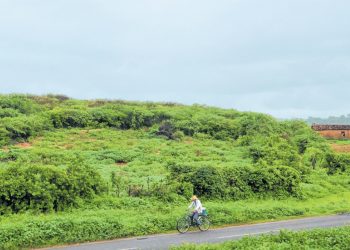 As boas chuvas mudaram a paisagem no Sertão. A tendência é de que os bons volumes sigam até junho (Foto: Marciel Bezerra)
