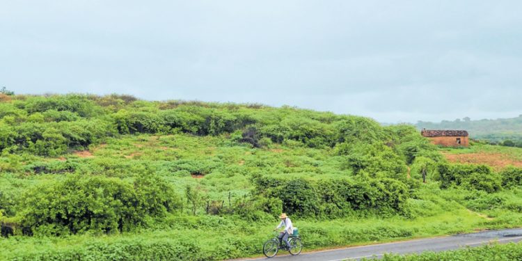 Chove em 96 dias, mais de 80% de todo volume esperado para o ano