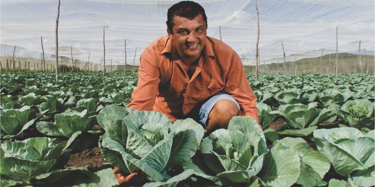 Prorrogado prazo de solicitações de vistorias de perdas pelo Garantia Safra