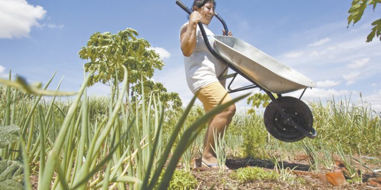 Agricultores familiares contam com novo serviço de atendimento online