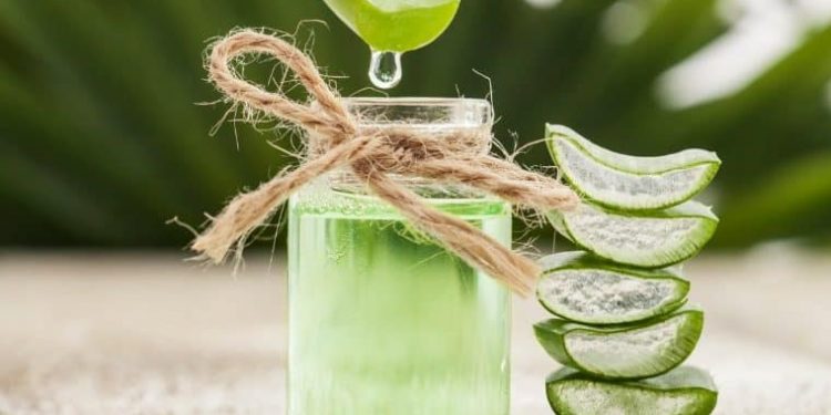 Como tratamentos naturais podem combater a úlcera gástrica