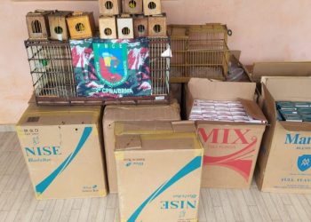 Polícia apreende aves silvestres e cigarros sem notas fiscais em Barbalha (Foto: BPMA/ Divulgação)