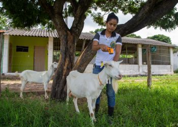 (Foto: Divulgação)