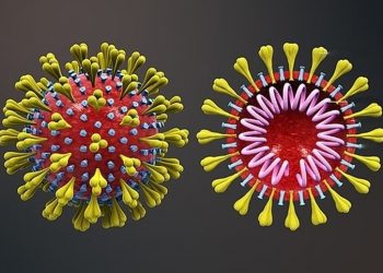 Cientistas conseguem neutralizar novo coronavírus com anticorpo