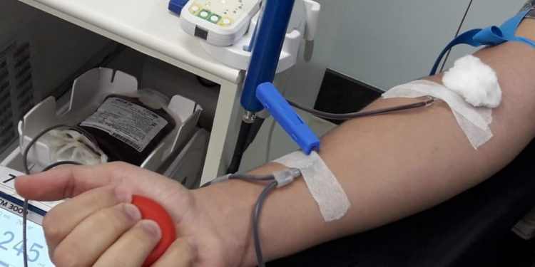 Captação de sangue caiu pela metade em Juazeiro do Norte durante pandemia