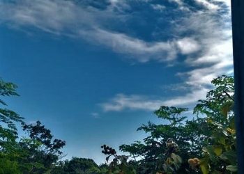 “No quintal da minha casa tem cultura alimentar! Fortalecendo a segurança e soberania alimentar da família!”, conta Itanael da Silva Rodrigues, 18 anos, no Município de Graça (Foto: Arquivo Pessoal)